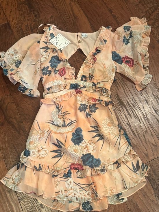 Angel Biba Dresses & Skirts - Angel Biba Peach Floral Ruffle Dress with Blue & Cream Accents